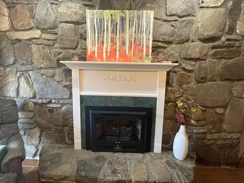 110 Grey Stone Dr, Sylva, NC 28779 photo 22