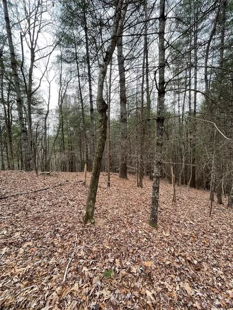 62 Black Bear Trail, Bryson City, NC 28713