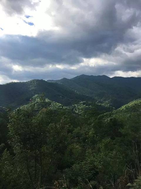 0 0 Bear Ridge Run, Bryson City, NC 28713