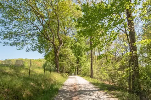 25 E Caesar Rd, Otto, NC 28763 photo 74