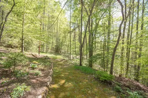 25 E Caesar Rd, Otto, NC 28763 photo 62