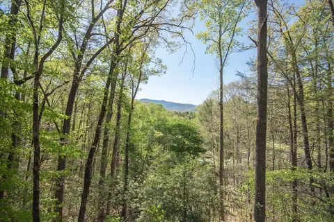 25 E Caesar Rd, Otto, NC 28763 photo 10