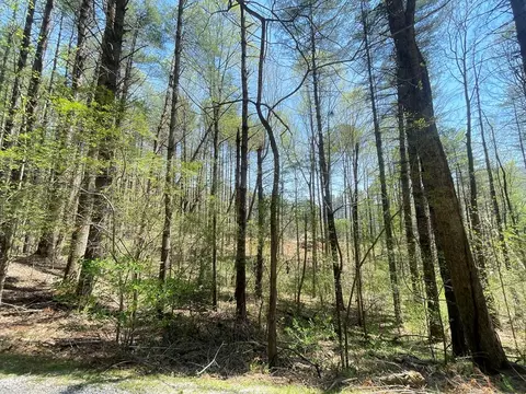 lot2 Mountain Meadows Rd, Franklin, NC 28734