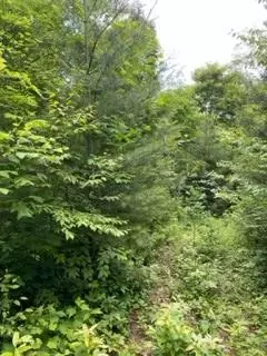 N/a Wolf Knob, Cullowhee, NC 28723