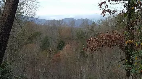 533 533 Laid Back Ln, Whittier, NC 28789