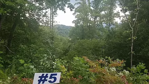 Tbd Lot 5 Laid Back Lane, Whittier, NC 28789