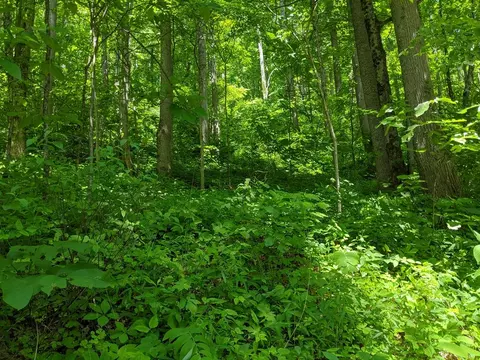 00 Thunderbird Rd, Sylva, NC 28779 photo 2