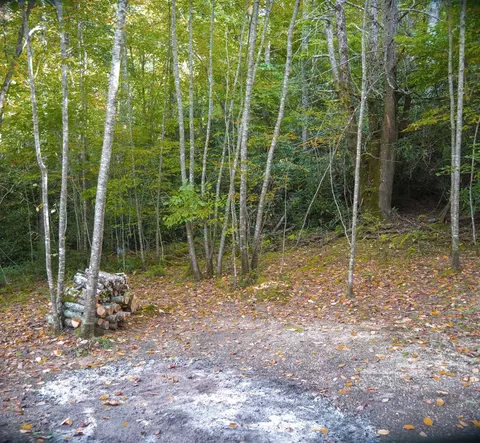 6852 Upper Burningtown Rd, Franklin, NC 28734 photo 4
