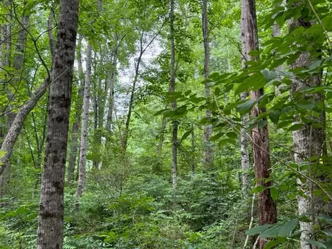 11 Charles Sondheimer Road, Franklin, NC 28734