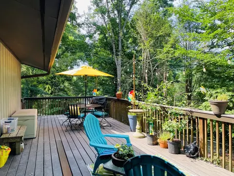358 Dills Hills Rd, Sylva, NC 28779 photo 5