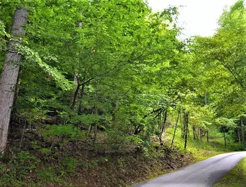 00 Young Cove Rd, Franklin, NC 28734