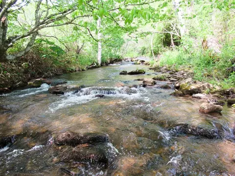 4731 Ellijay Rd, Franklin, NC 28734