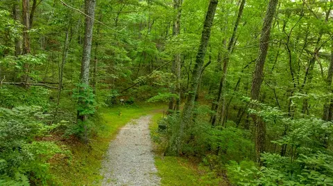 10 Gorge Vw, Highlands, NC 28741