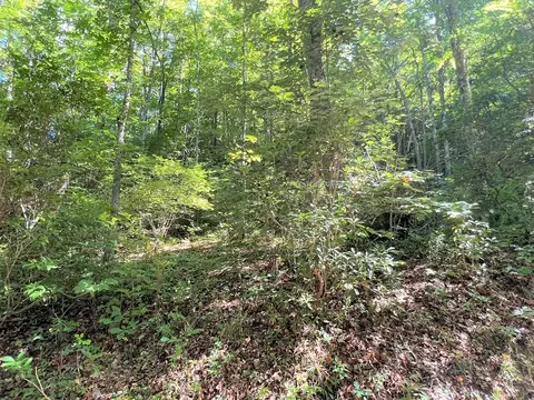 3 Falling Waters Road, Cullowhee, NC 28723 photo 5