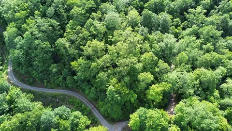 3 Falling Waters Road, Cullowhee, NC 28723 photo 3