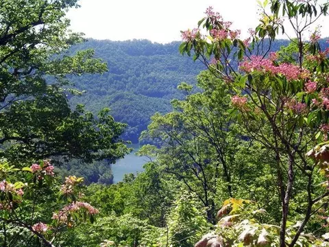 20 Tsali Crossing Road, Bryson City, NC 28713