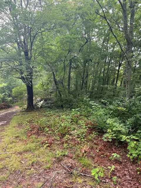 575 Singing Ridge Rd, Sylva, NC 28779 photo 5