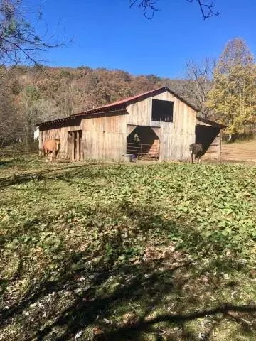 19 Mount Eire Dr, Sylva, NC 28779 photo 19