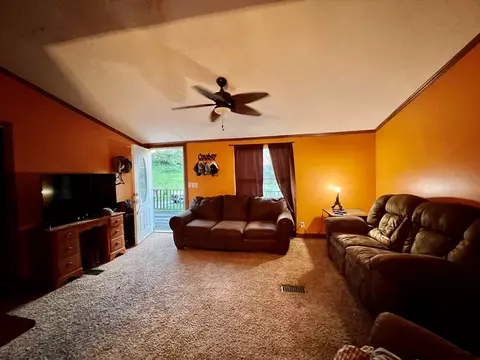 19 Mount Eire Dr, Sylva, NC 28779 photo 9
