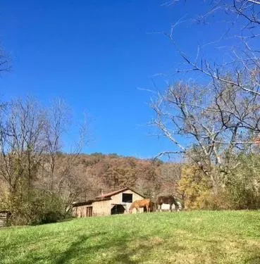 19 Mount Eire Dr, Sylva, NC 28779 photo 18