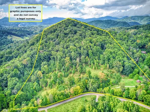 421 Bunny Run Rd, Canton, NC 28716