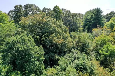 00 Davis Rd, Sylva, NC 28779 photo 6