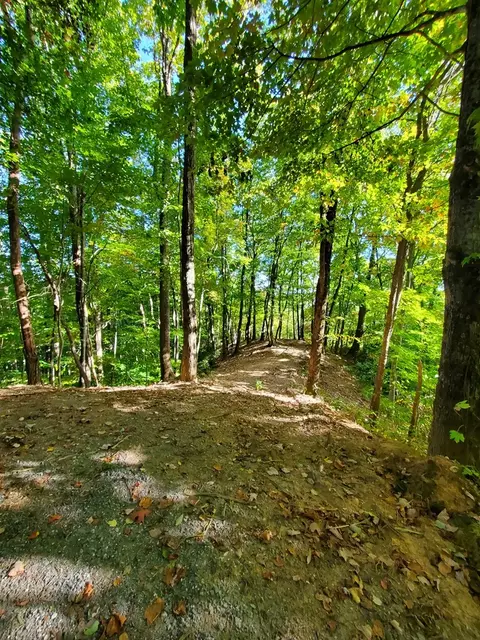 0 Providence Rd, Sylva, NC 28779 photo 17