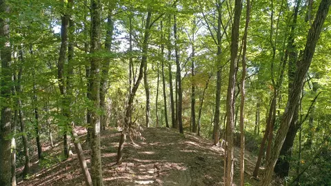 0 Providence Rd, Sylva, NC 28779 photo 19