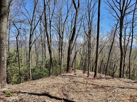 0 Providence Rd, Sylva, NC 28779 photo 9
