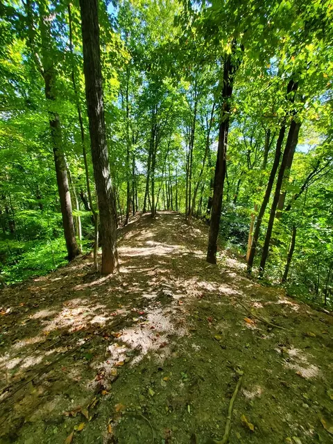 0 Providence Rd, Sylva, NC 28779 photo 16