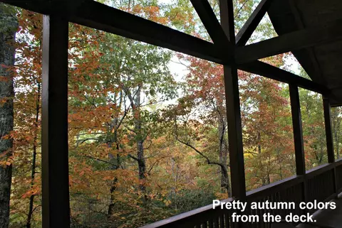 310 Newfound Rd, Sylva, NC 28779 photo 37