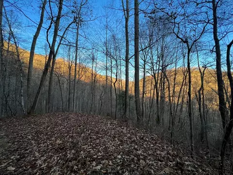 0 N Fork Rd, Sylva, NC 28779