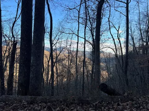 0 N Fork Rd, Sylva, NC 28779 photo 6