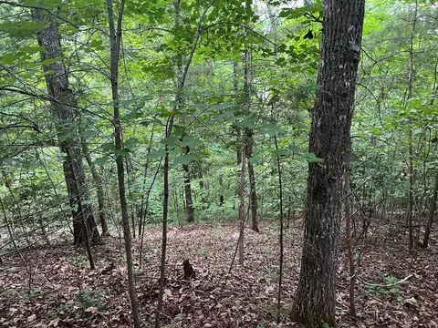 0 Wedgewood Acres, Franklin, NC 28734