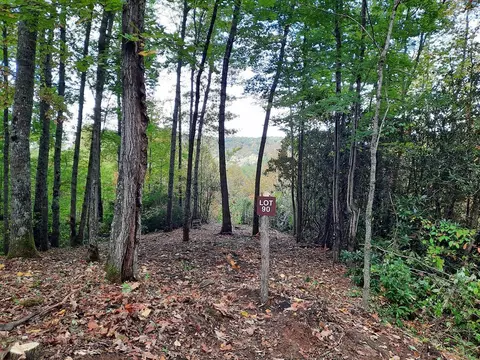 90 Garnet Rd, Sylva, NC 28779 photo 14