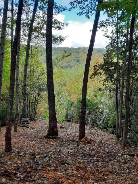 90 Garnet Rd, Sylva, NC 28779 photo 15