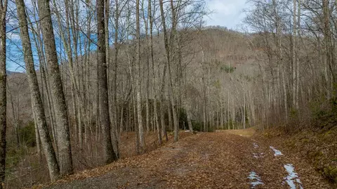 90 Garnet Rd, Sylva, NC 28779 photo 4