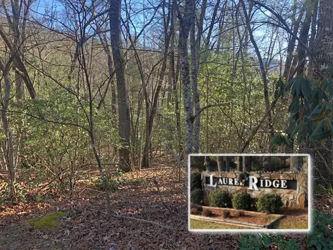 00 Wind Forest Dr, Franklin, NC 28734