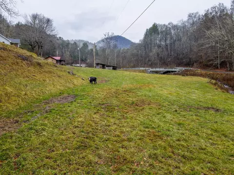 69 Early Deitz Rd, Sylva, NC 28779 photo 8