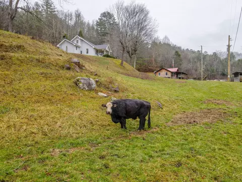 69 Early Deitz Rd, Sylva, NC 28779 photo 9