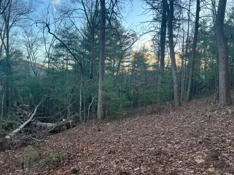 00 Soper Rd, Franklin, NC 28734 photo 9