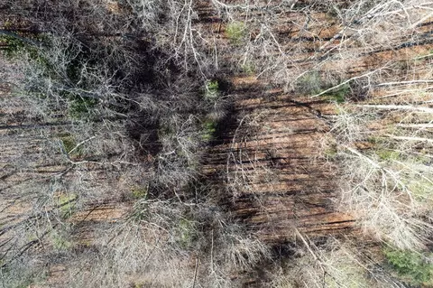 2268 Blanton Branch Rd, Sylva, NC 28779 photo 16