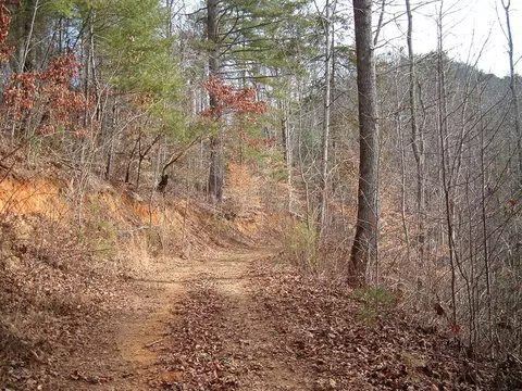 lot12 Cedar Cliffstovall, Tuckasegee, NC 28783