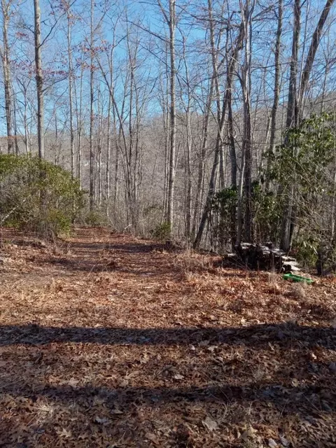 621 Sassafras Rd, Sylva, NC 28779 photo 10