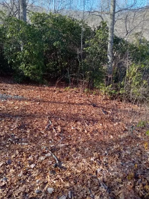 621 Sassafras Rd, Sylva, NC 28779 photo 8