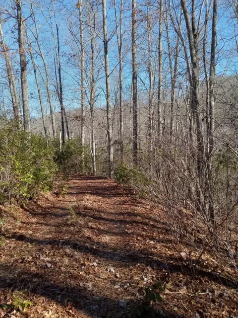 621 Sassafras Rd, Sylva, NC 28779 photo 14