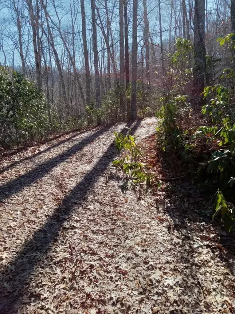 621 Sassafras Rd, Sylva, NC 28779 photo 15