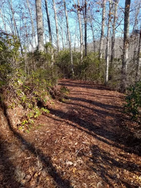 621 Sassafras Rd, Sylva, NC 28779 photo 12