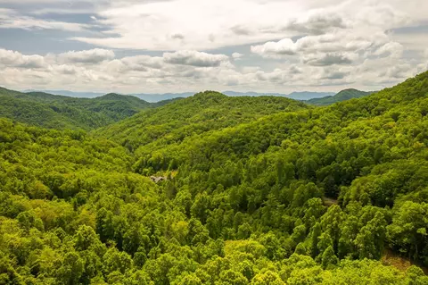 142 Hickory Nut Trl, Sylva, NC 28779 photo 65