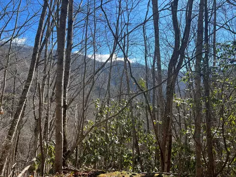 000 Seminole Dr #30, Whittier, NC 28789